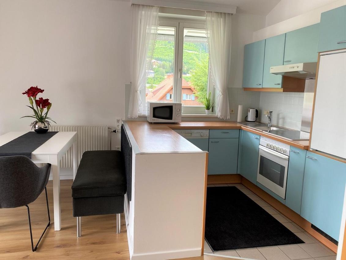 Appartement Dachsteingasse By Schladming-Appartements Dış mekan fotoğraf